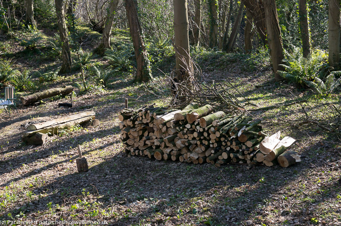 Log pile