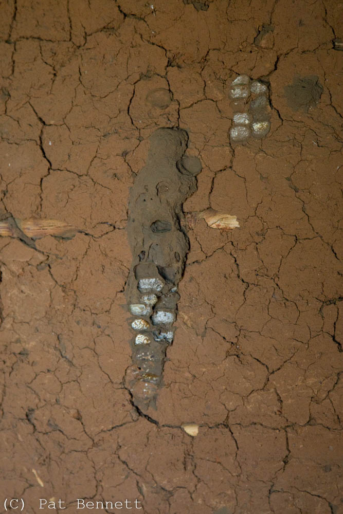 Decoration in hut wall, Ghana.